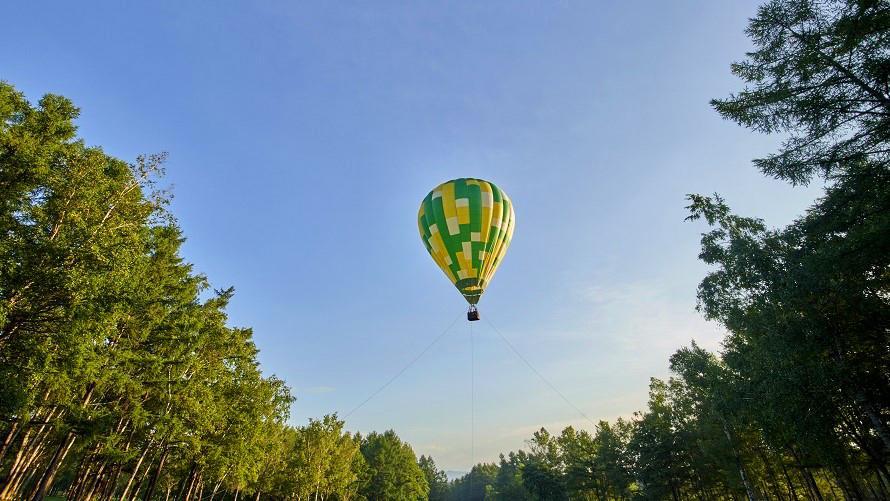 ※今シーズン営業終了