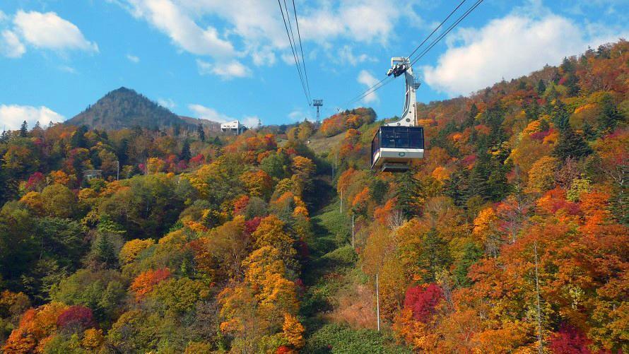 ※今シーズン営業終了