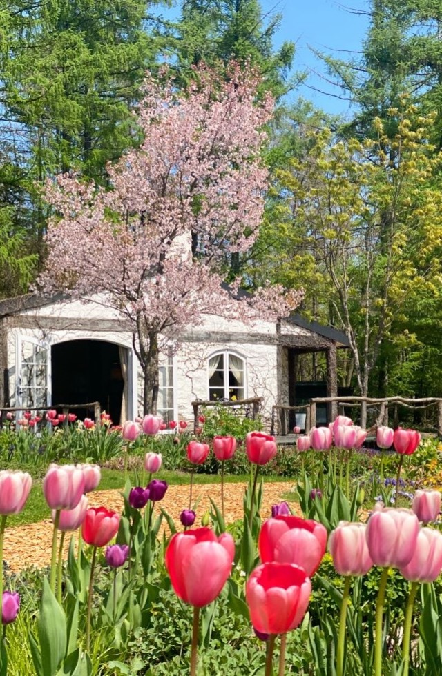 新富良野プリンスホテル