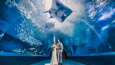 品川駅2分の結婚式場 公式 品川プリンスホテルウエディング 品川プリンスホテル