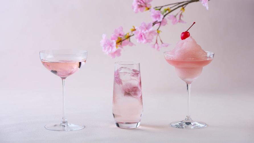 レストランパーティープラン