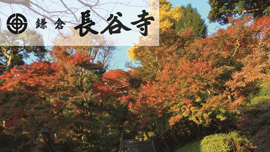 鎌倉で過ごす秋「紅葉」を満喫 　長谷寺拝観券付きプラン