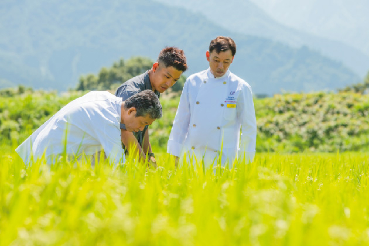 Boosting Local Production and Consumption