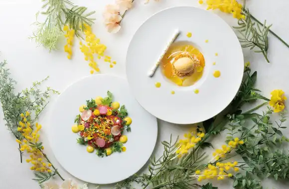 HAPPY MIMOSA FAIR 2026 -Restaurant-