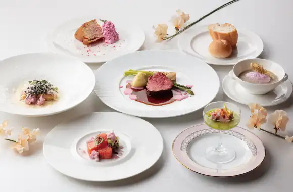 春のコース ～しだれ桜～