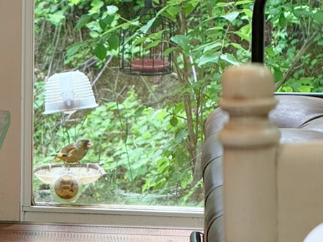 カフェ メリッジャーレ