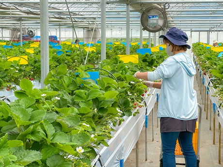 室生犀星記念館_展示
