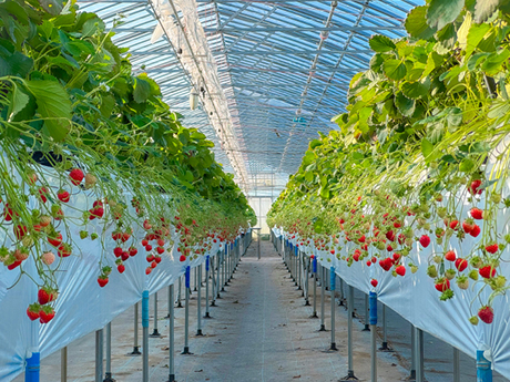 室生犀星記念館_展示