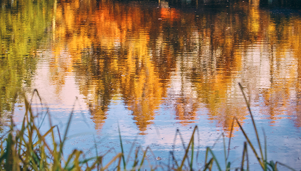 軽井沢の秋を楽しむよくばり滞在「秋の五感体験プラン」