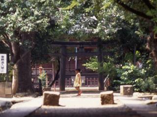 三芳野神社イメージ