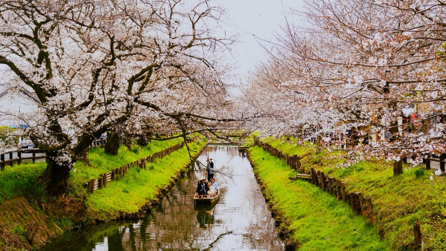 【1日10名さま限定】小江戸川越 花筏の舟旅 エクスクルーシブステイ