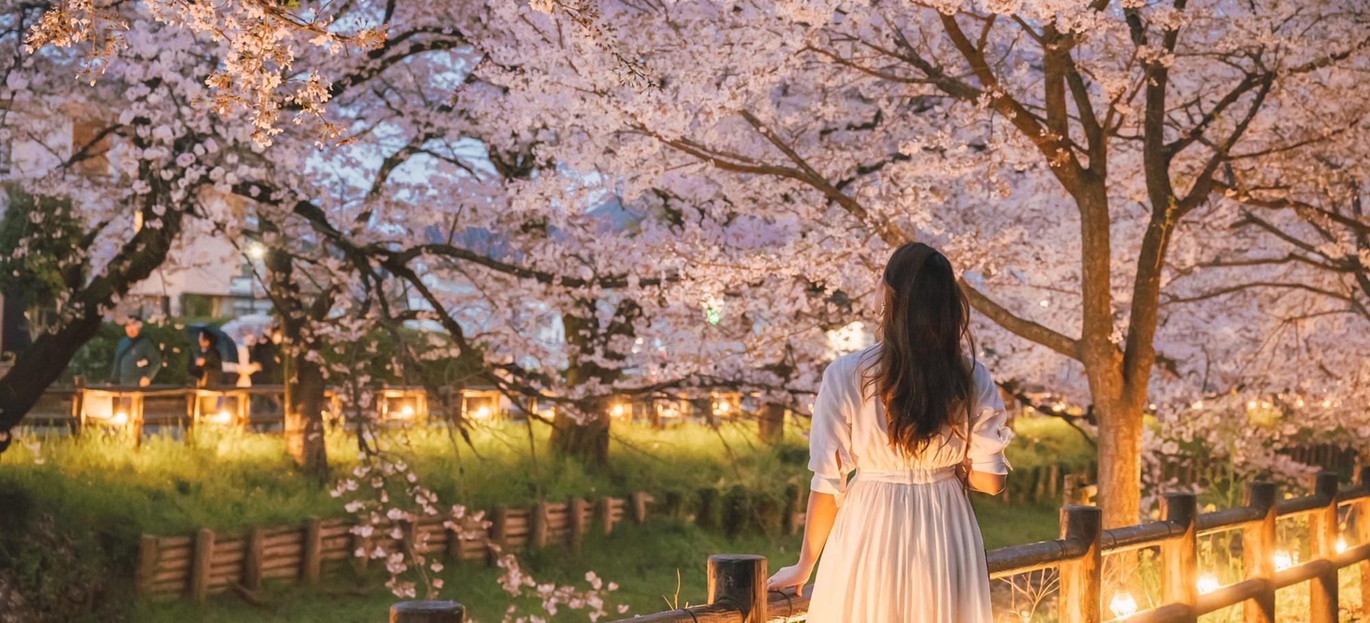 小粋に楽しむ、 小江戸旅。
