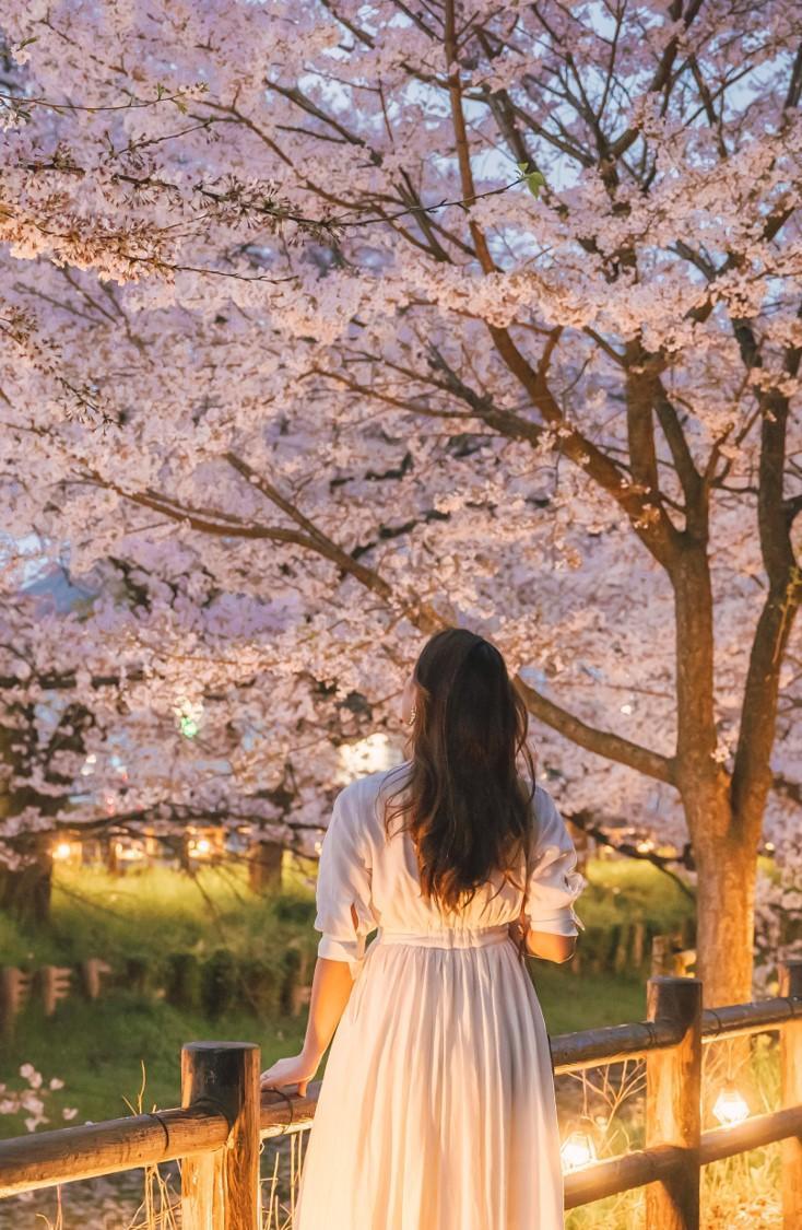 小粋に楽しむ、 小江戸旅。