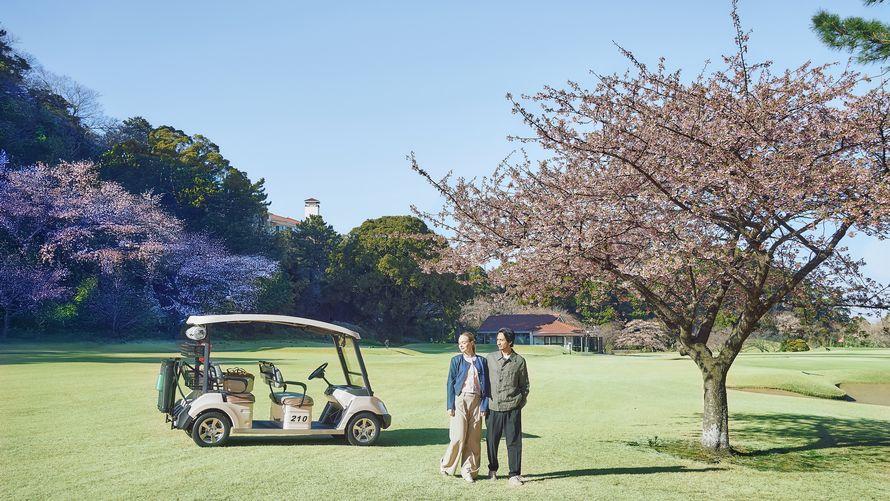 お花見クルーズ