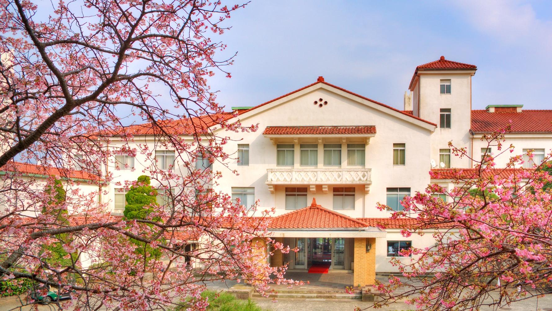 冬から早春の特別プラン