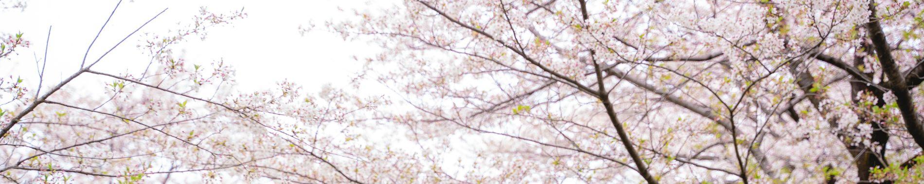 中国割烹旅館 掬水亭