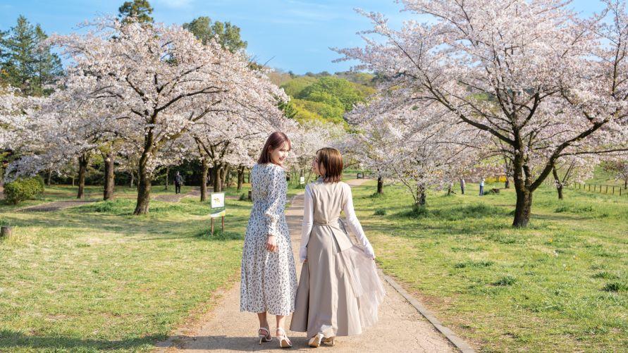 茶香に包まれる春