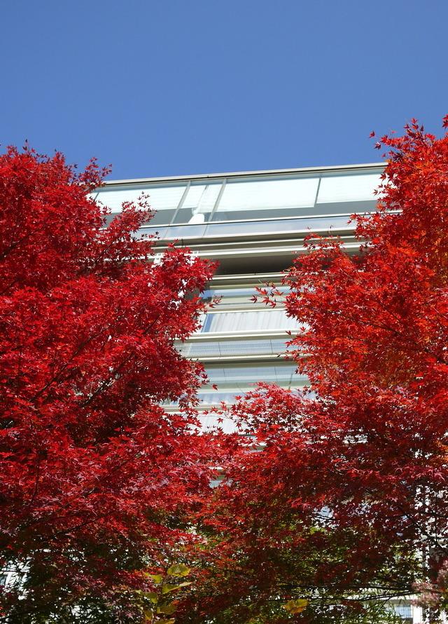 近くて、湯ったり私の“ご褒美”時間