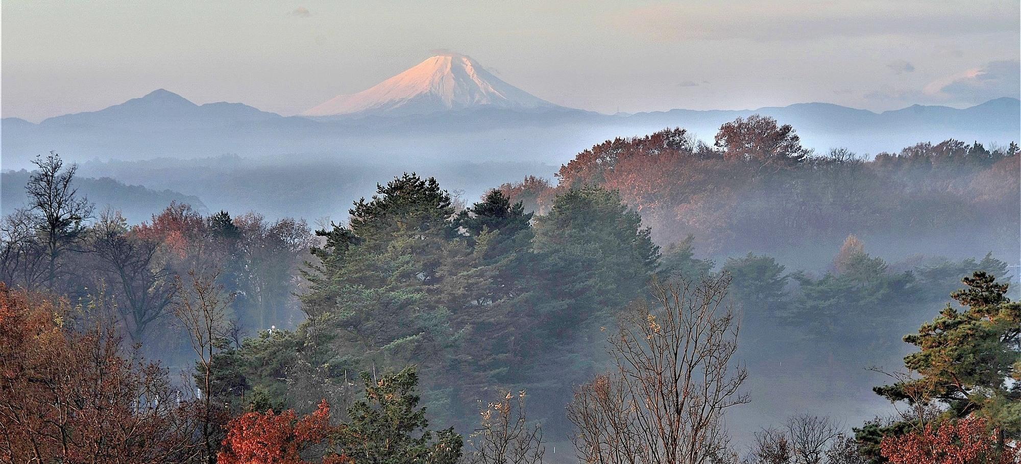 近くて、湯ったり私の“ご褒美”時間