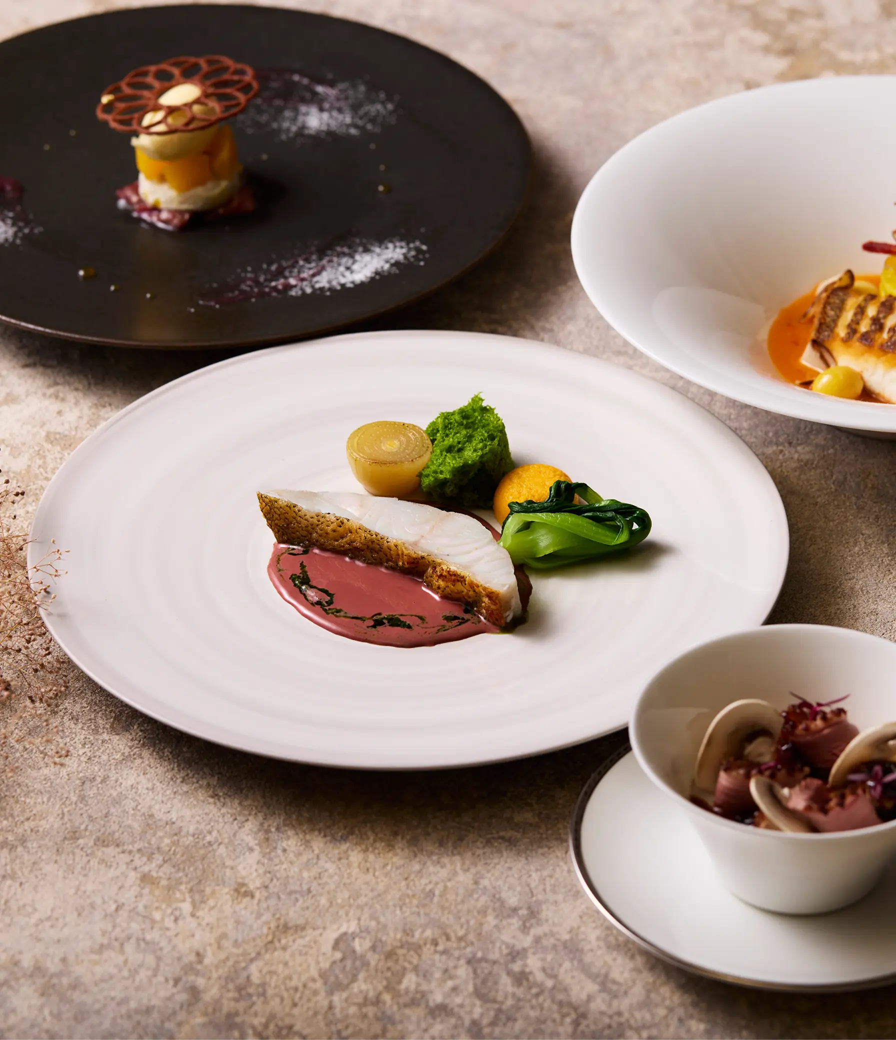 WAKAYAMA COLLABORATION