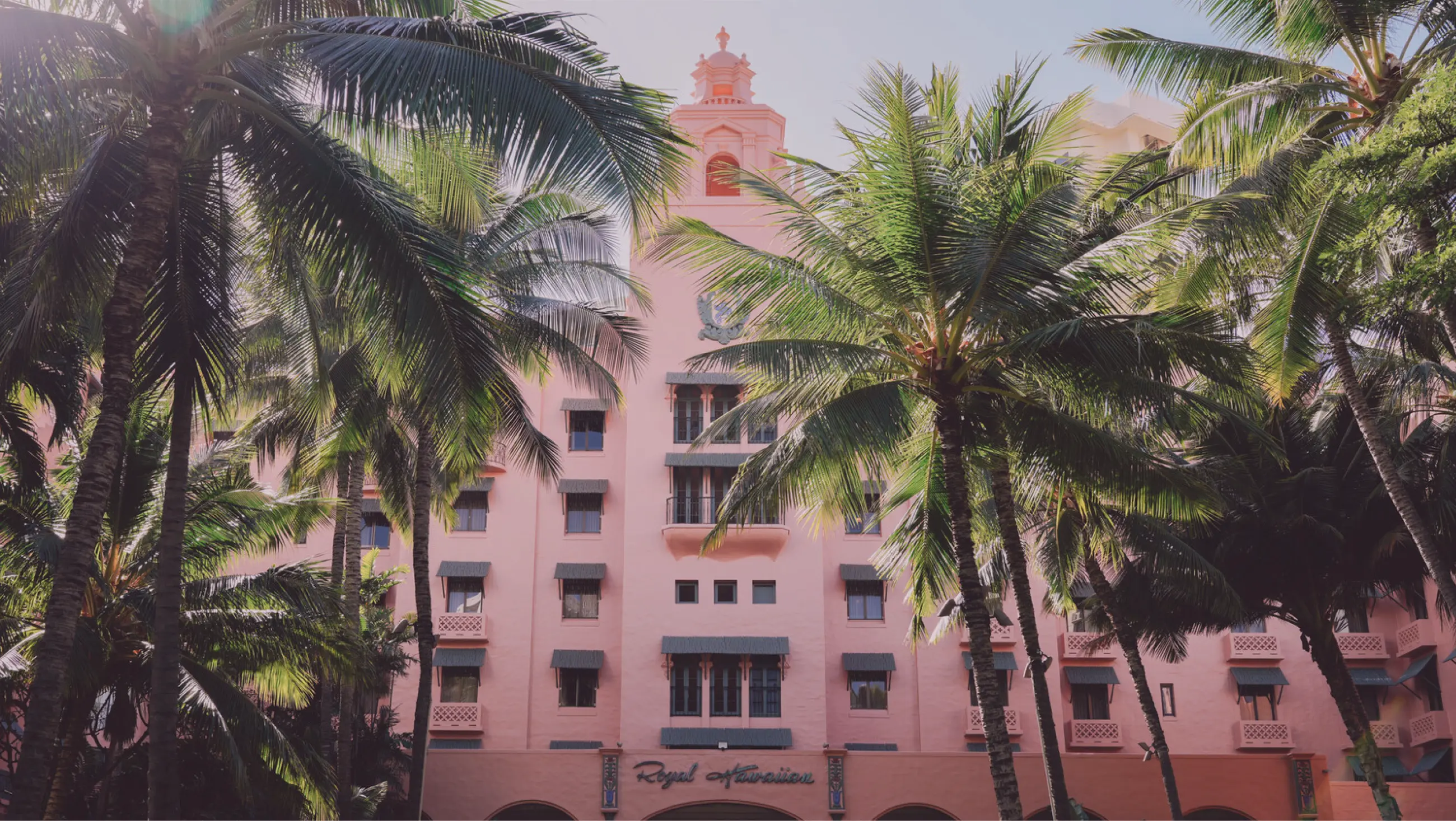 TOKYO meets HAWAII 2025