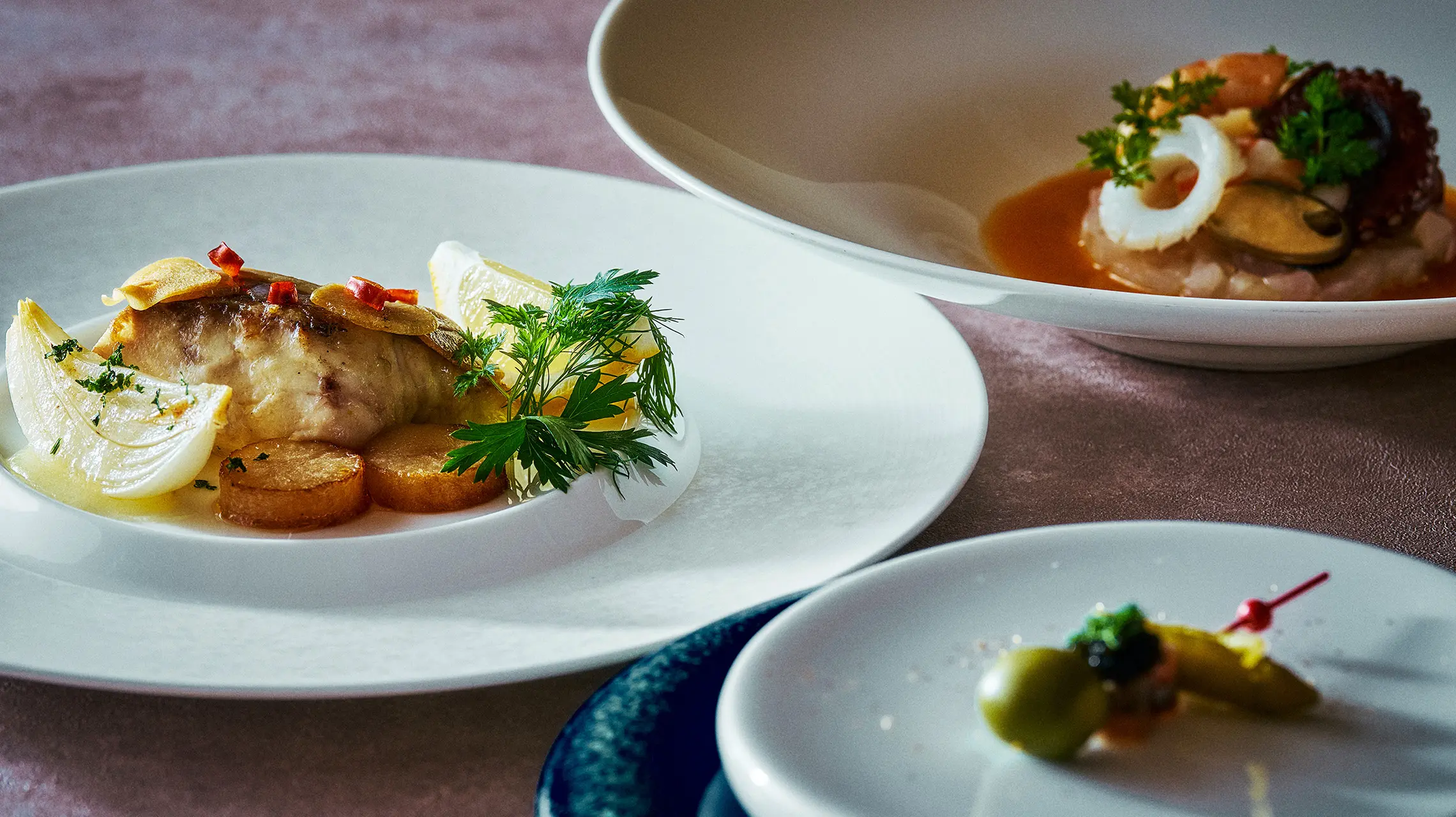 TOKYO meets San Sebastián 2025