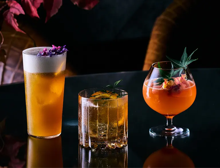 WAKAYAMA COCKTAILS