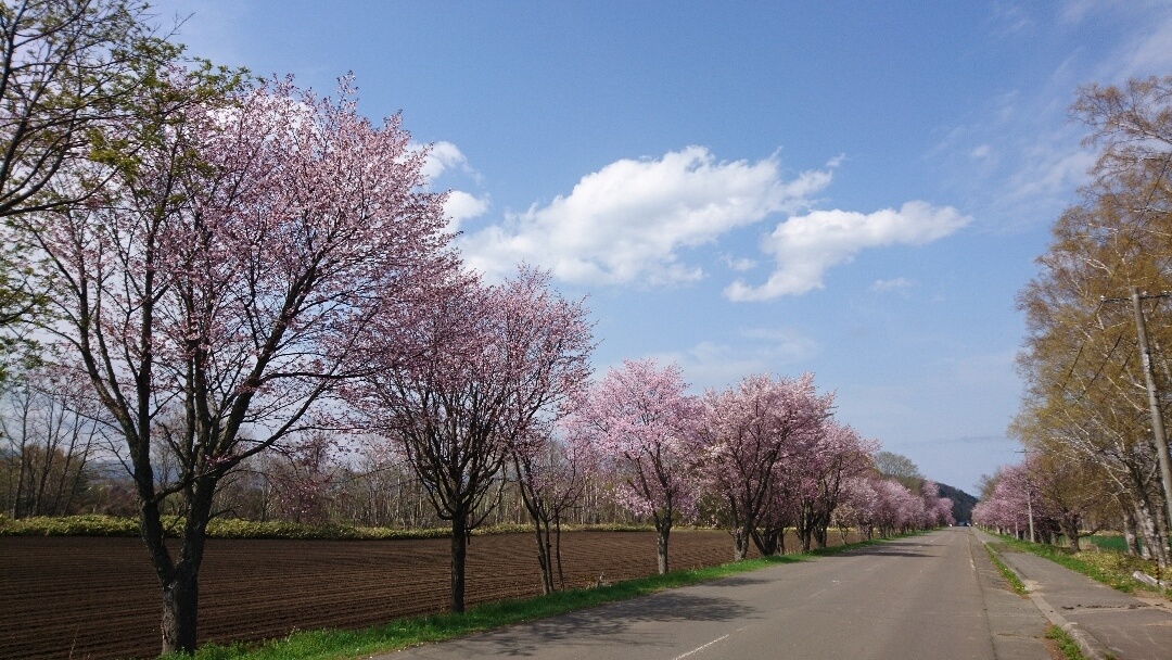 カルデラ地形が生み出すあるがままの風景