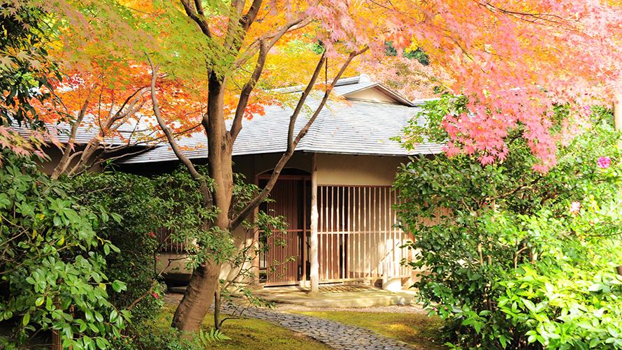 秋の京都、錦秋の茶寮