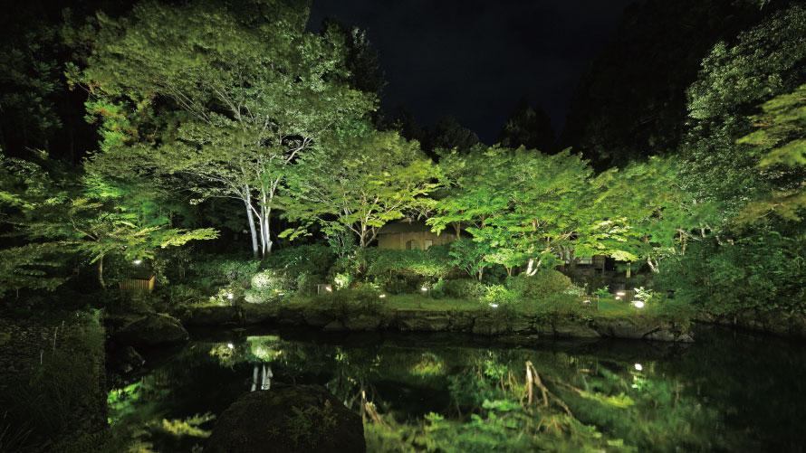 季節の移ろいを感じられる、日本庭園。