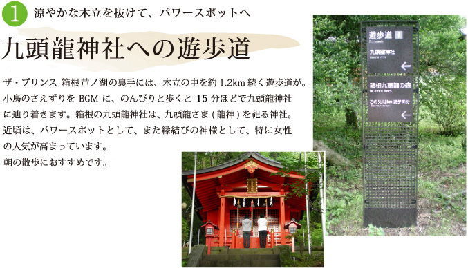 九頭龍神社への遊歩道
