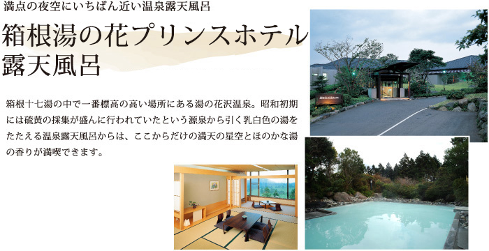 箱根湯の花温泉ホテル露天風呂