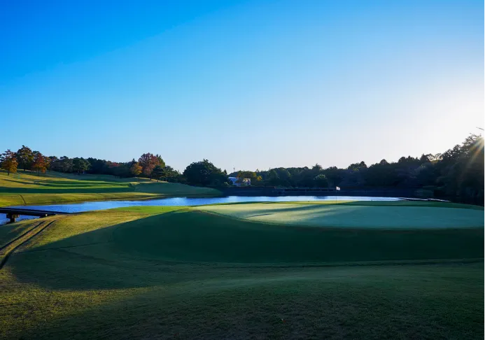 高原が広がっている様子