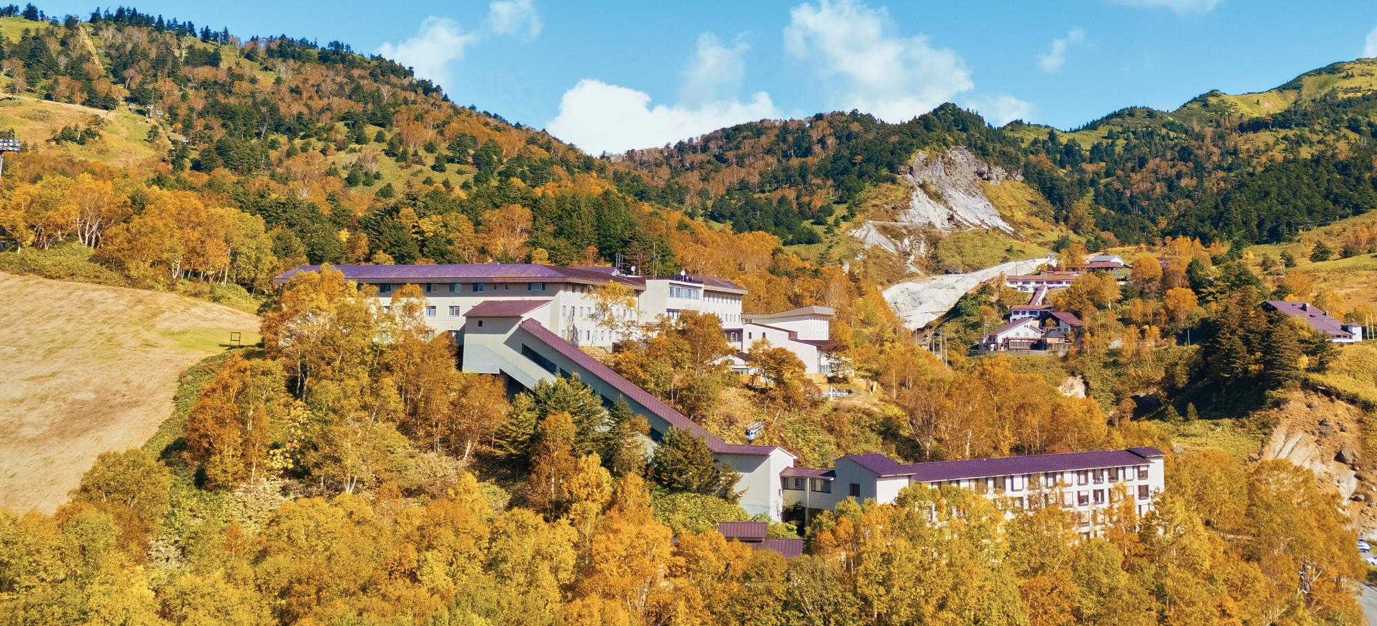 黄葉に包まれるホテル全景