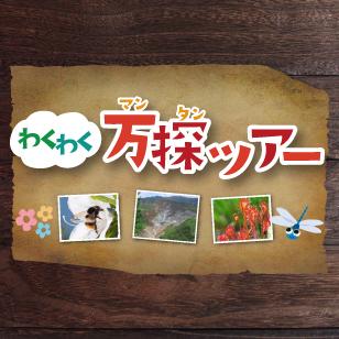 わくわく万探ツアー
