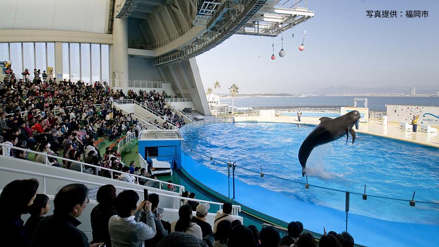 マリンワールド海の中道