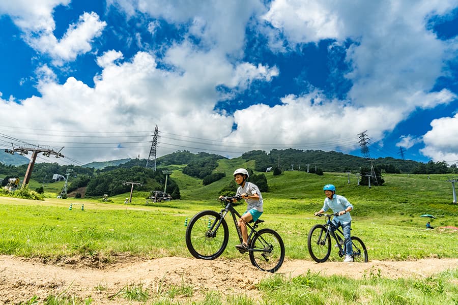 サイクリングで大自然を満喫!