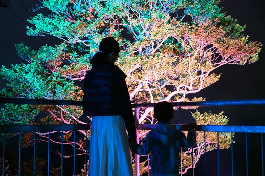 「HOSHIZORAテラス」から眺められるライトアップ