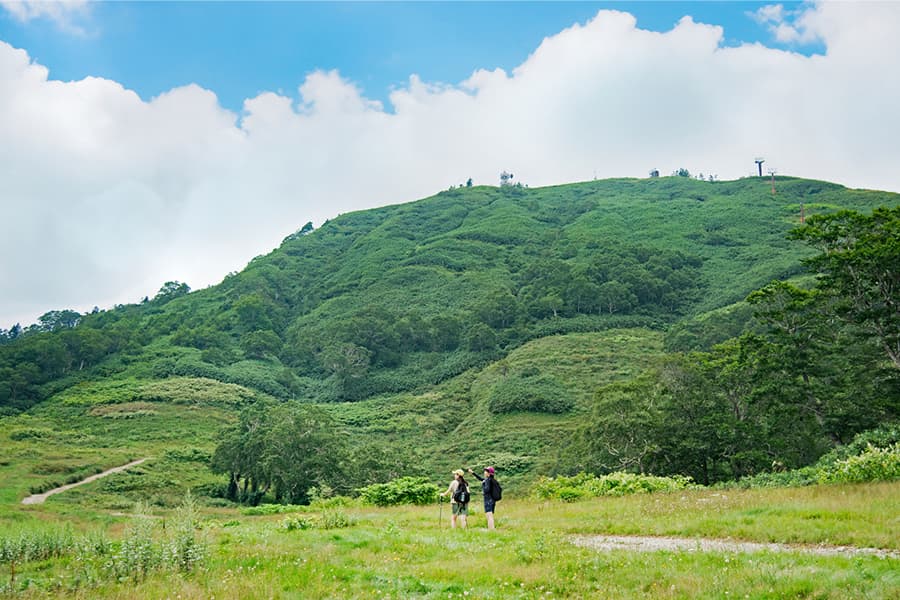 ファミリートレッキング｜親子で感じる高原の四季