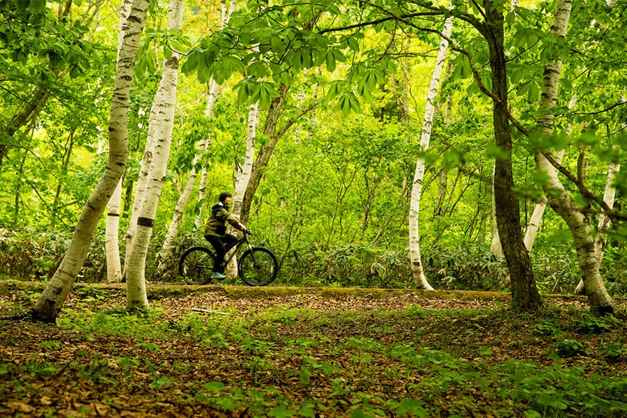 大自然をめいっぱい感じられる「高原サイクリング」