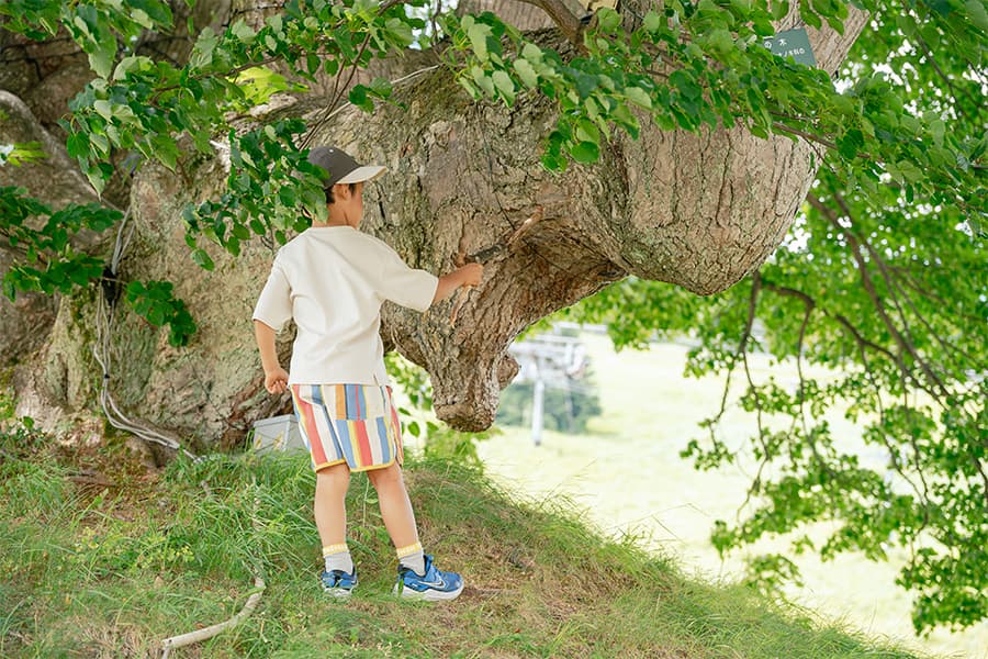 どんな虫がいるかな？