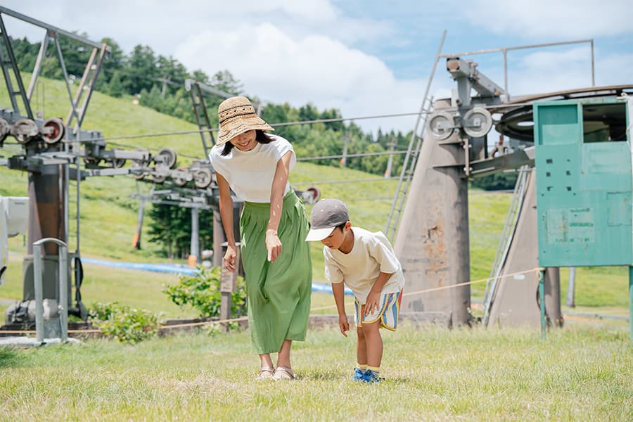 森のふしぎを発見！なえば森林ウォーク