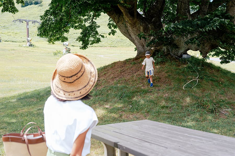 この日の気温は25℃程。