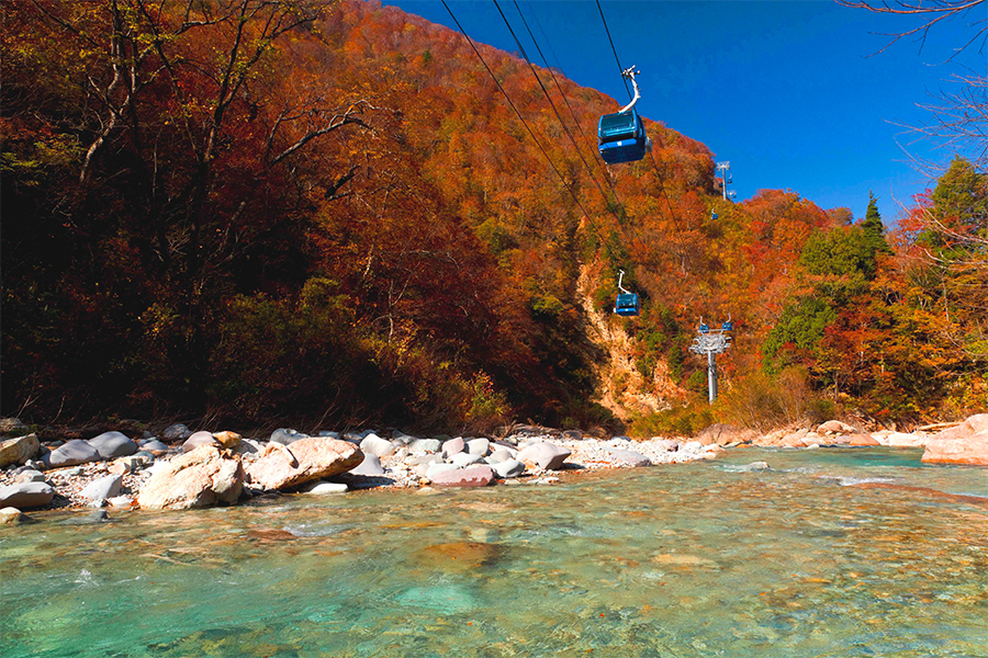 ドラゴンドラで秋の空中さんぽ