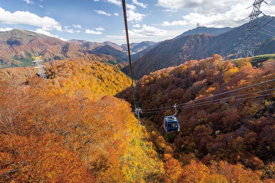 ドラゴンドラで秋の空中さんぽ