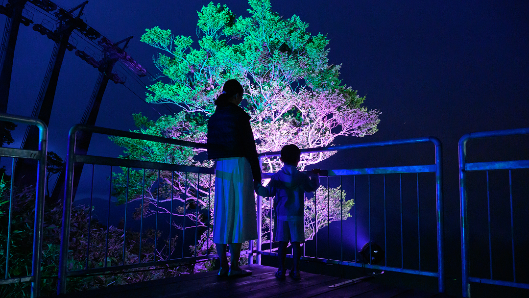 お日にち限定！新緑のスペシャルオファー