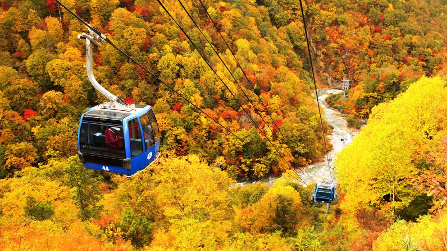 苗場ドラゴンドラ