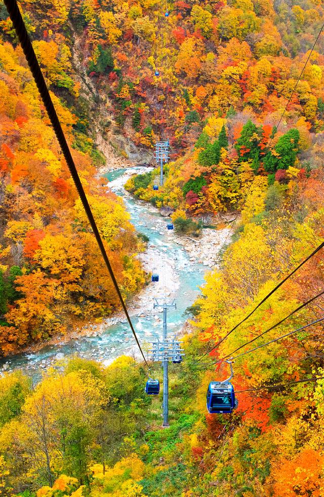 苗場ドラゴンドラ