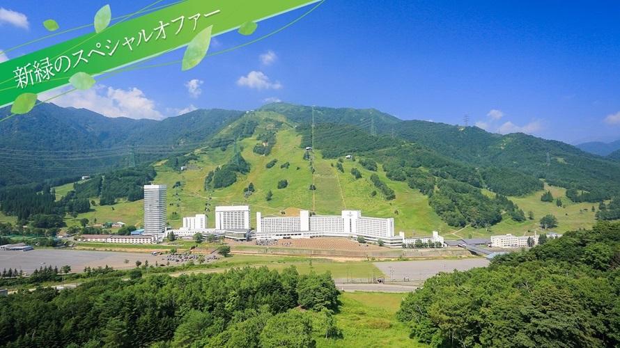 新緑のスペシャルオファーの画像