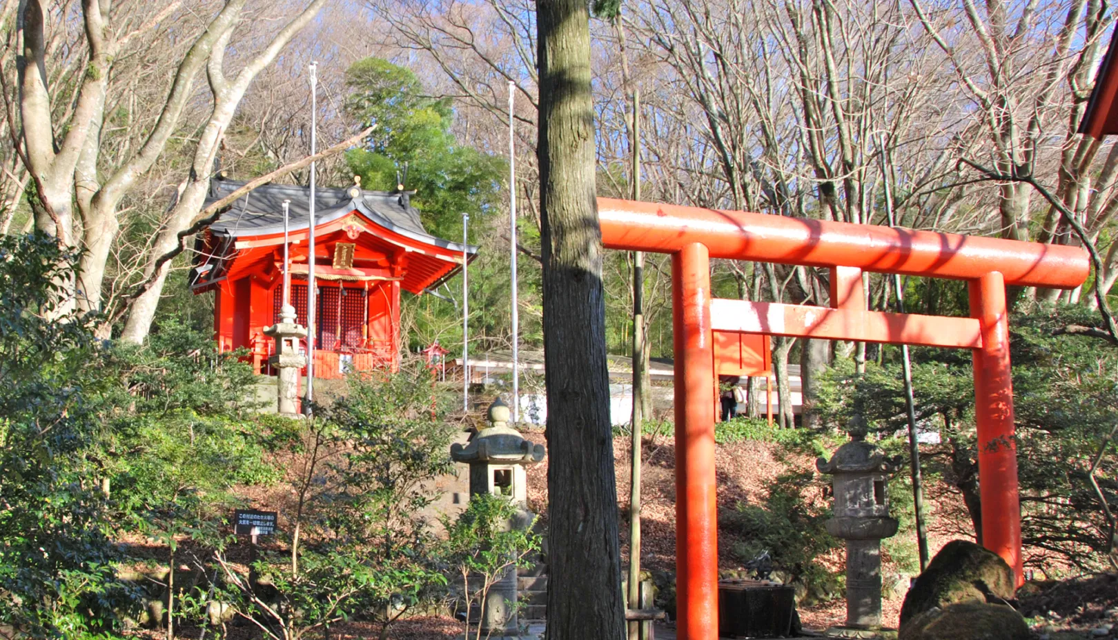 九頭龍神社(本宮)へ行く際の注意点はありますか?